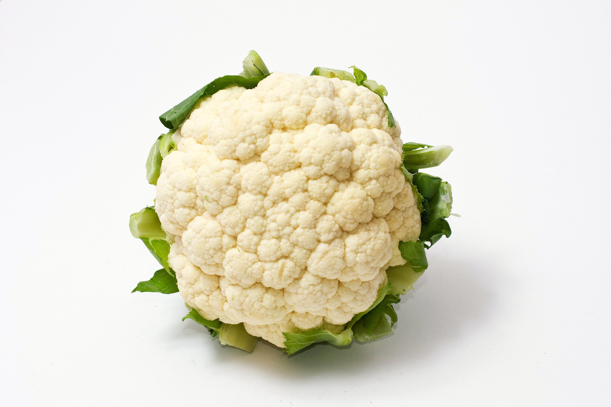 Cauli